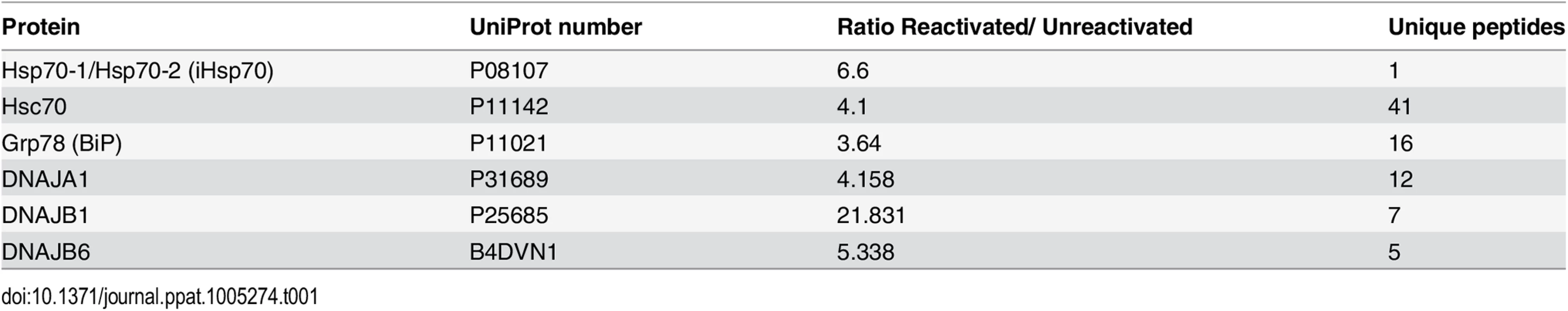 SILAC results from NE fractions highlighted chaperones from the <i>HSP70</i> family and their associated co-chaperones