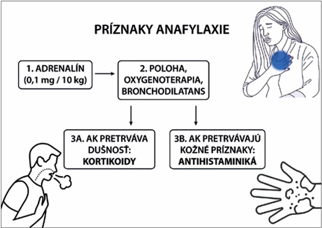 Aktuálna liečba detského pacienta s anafylaxiou podľa  najnovších odporúčaní, upravené podľa(9,14)