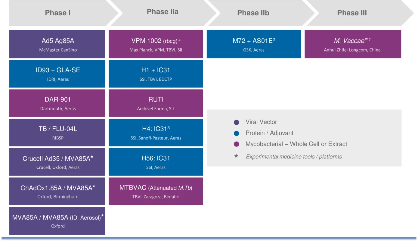The development pipeline of TB vaccine candidates.