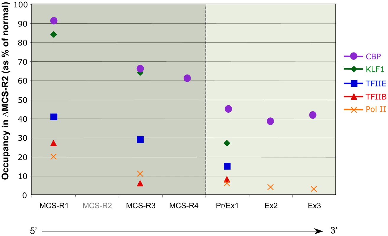Differential occupancy of TFs in the absence of the enhancer (MCS-R2) in mouse primary erythroblasts.