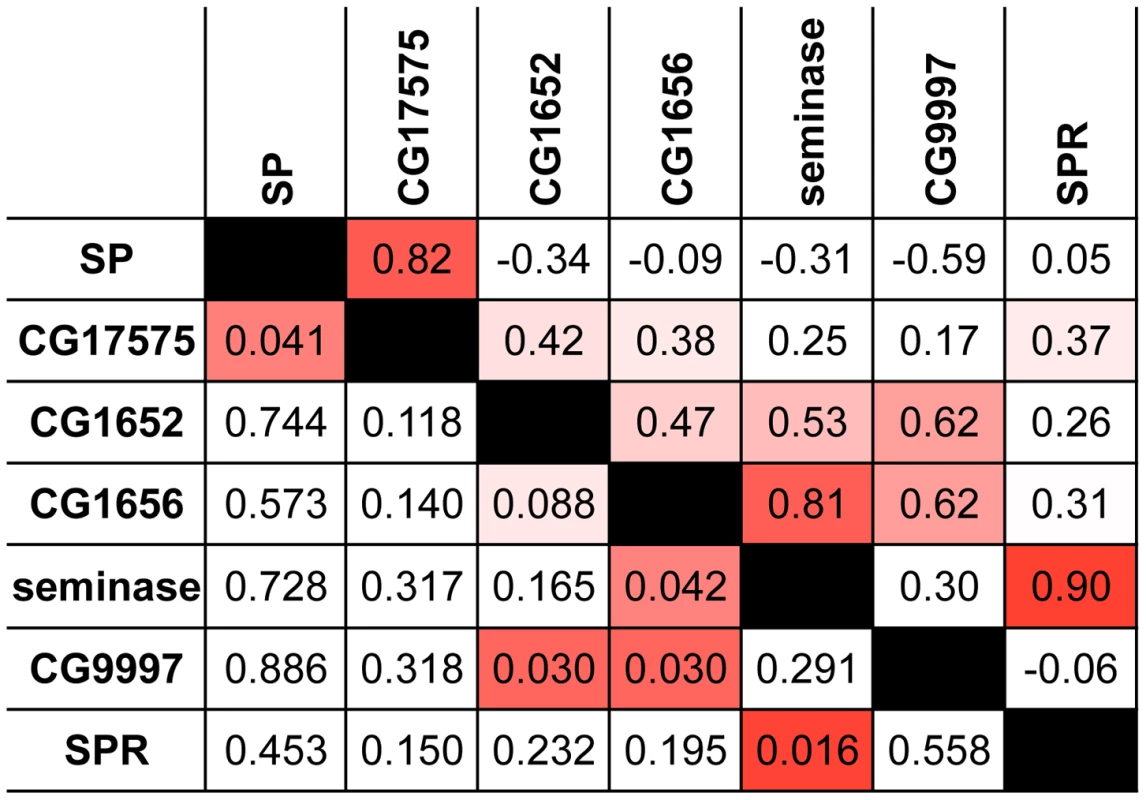 Proteins in the SP network show a significantly elevated signature of ERC.