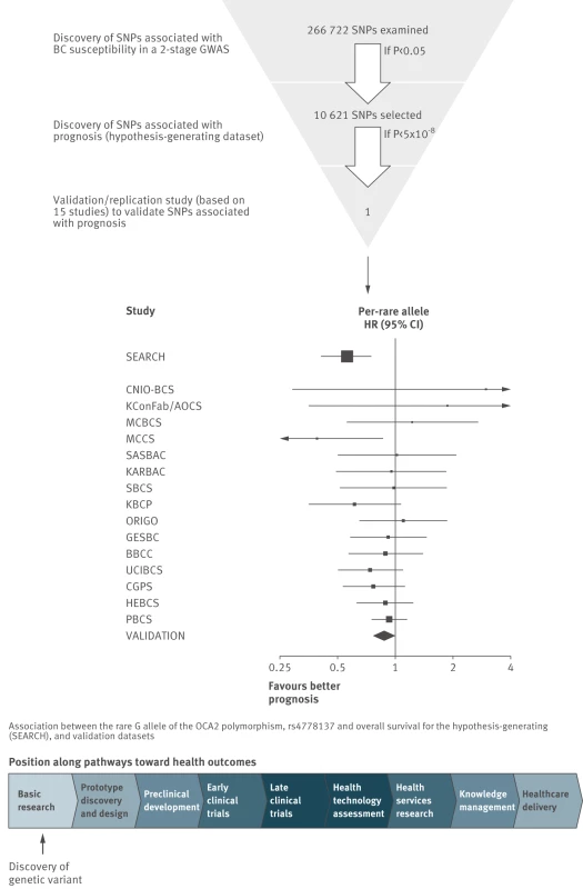 Discovery of prognostic factors: a genome-wide association study of survival among people with breast cancer, and replication in 15 studies (Mid-figure forest plot based on example plots in <em class="ref">[4]</em>.