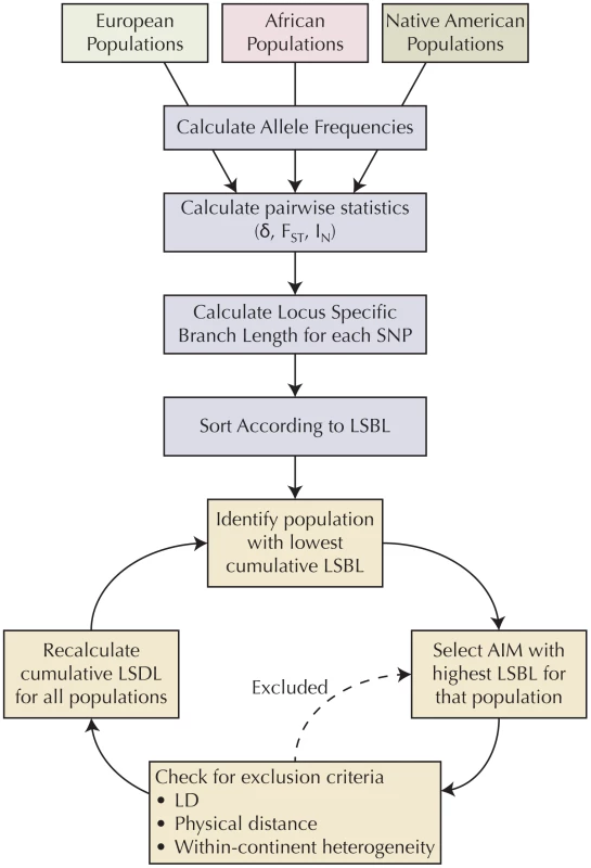 Algorithm for selecting AIMs.