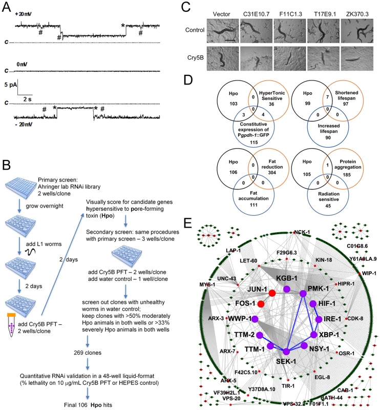 Genome-wide identification of <i>hpo</i> genes involved in PFT defenses.