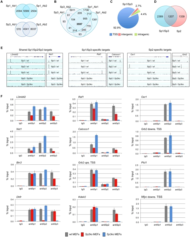 Different binding site selection of Sp1/Sp3 and Sp2 in MEFs.