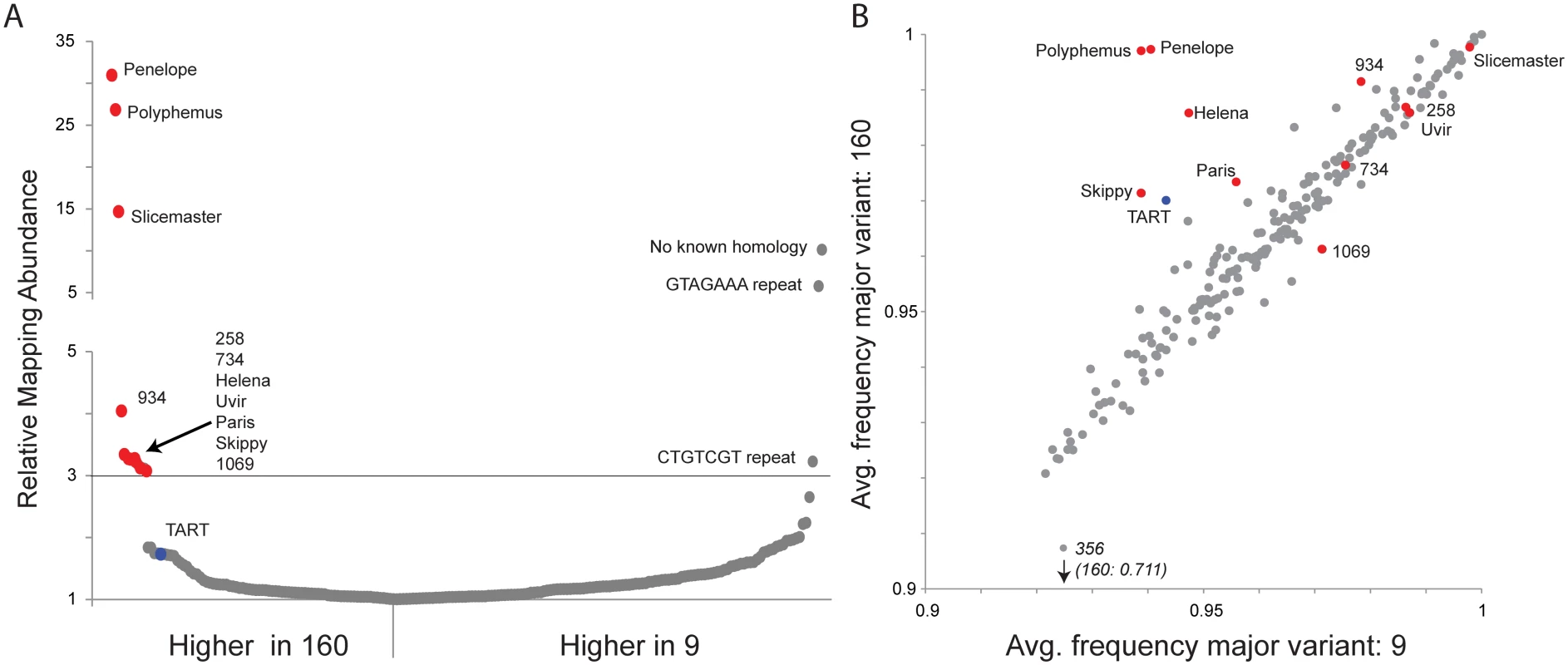 Multiple transposable elements are associated with induction of hybrid dysgenesis.