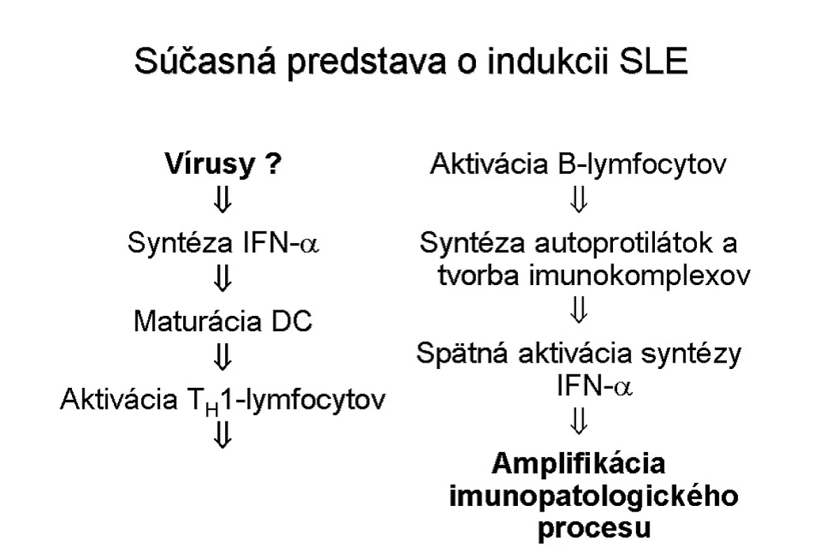 Súčasná predstava o imunopatogenéze SLE
Predpokladá sa, že u genetický predisponovaných jedincov chorobu spúšťa nejaká vírusová infekcia. Ako odpoveď na ňu sa plazmacytoidnými dendritovými bunkami (pDC) vo zvýšenej miere syntetizuje IFN-α, ktorý aktivuje konvenčné (myeloidné) dendritové bunky. Tieto následne indukujú pomocné Tlymfocyty, ich TH1-subpopuláciu, ktorá aktivuje autoreaktívne B-lymfocyty. B-lymfocyty začnú produkovať autoprotilátky, vytvárajú sa imunokomplexy, o.i. aj také, ktoré obsahujú DNA. Komplexy „protilátka DNA“ spätne aktivujú syntézu IFN-α, najmä pDc a celý proces sa prehlbuje s vytvorením “circulus vitiousus“
Fig. 4. Current idea of the immunopathogenesis of SLE It is assumed that in genetically predisposed individuals, SLE is triggered by some virus infection. In reaction to the infection, plasmacytoid dendritic cells (pDCs) synthesize elevated amounts of IFN-α activating the classical myeloid dendritic cells. The latter subsequently induce helper T lymphocytes, more precisely their TH1-subpopulation, which activates autoreactive B lymphocytes. B-lymphocyts start producing autoantibodies and immune complexes are formed, among others also DNA-containing immune complexes. The DNA/anti-DNA antibody complexes activate synthesis of IFN-α, mainly in pDCs, and the whole process deepens and a vicious circle is established