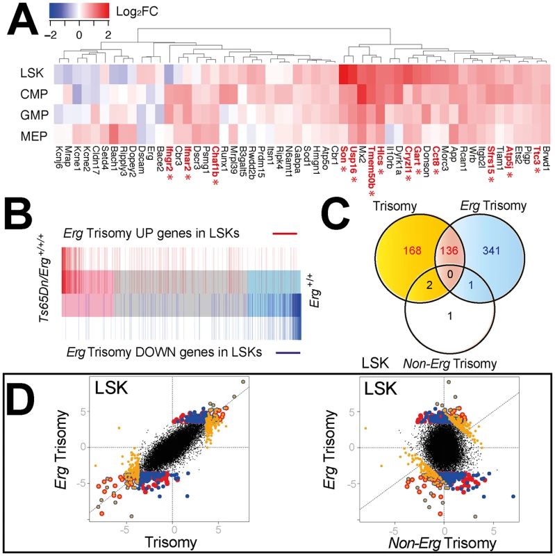 Comparison of gene expression changes due to full trisomy and specifically to trisomy of <i>Erg</i> in Ts(17<sup>16</sup>)65Dn LSKs.