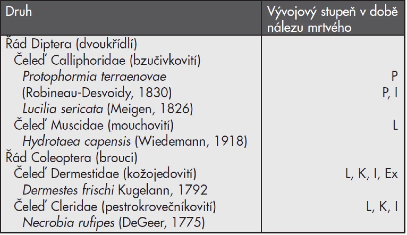 Přehled zajištěného hmyzu (L – larva, P – puparium, K – kukla, I – imago, Ex – exhuvie / svlečená pokožka larvy)