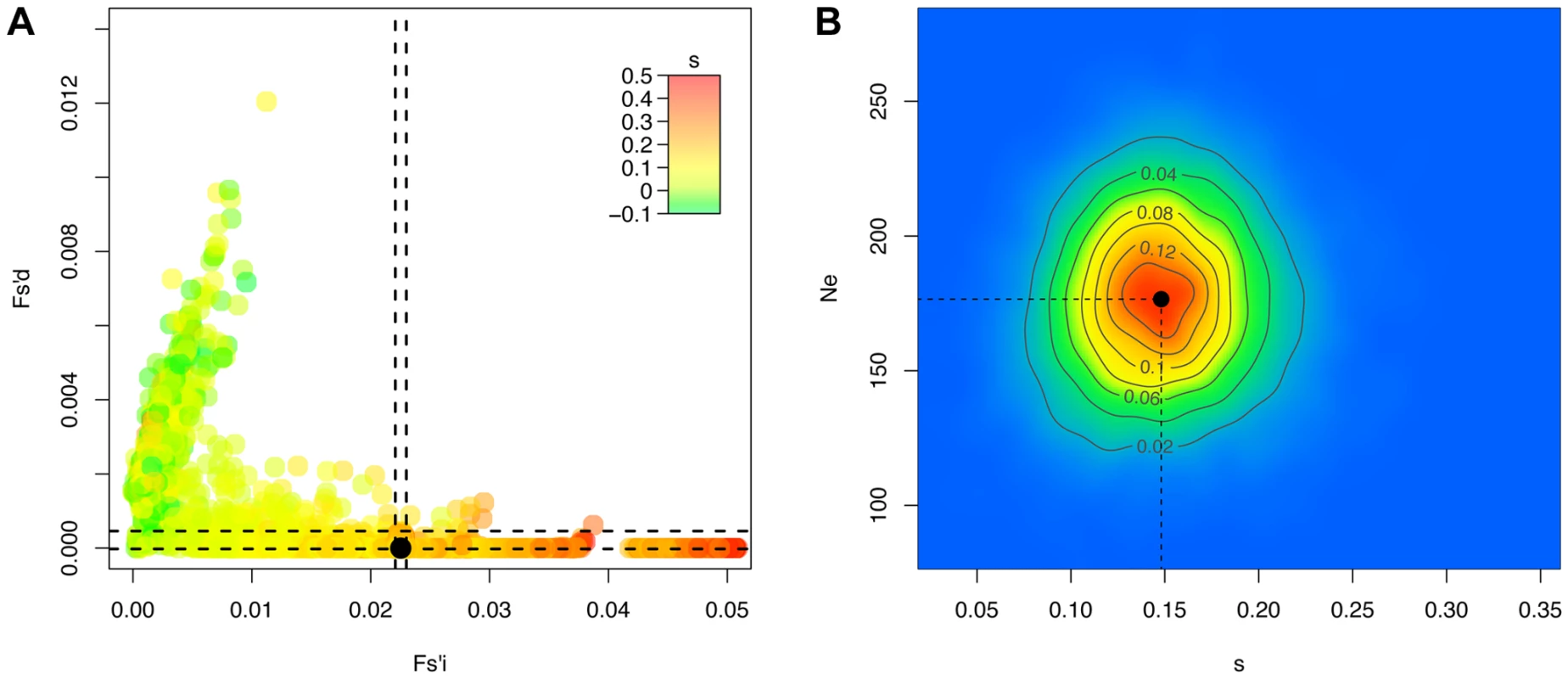 <i>Ne</i>-based Approximate Bayesian Computation for the H275Y resistance mutation in the presence of oseltamivir.