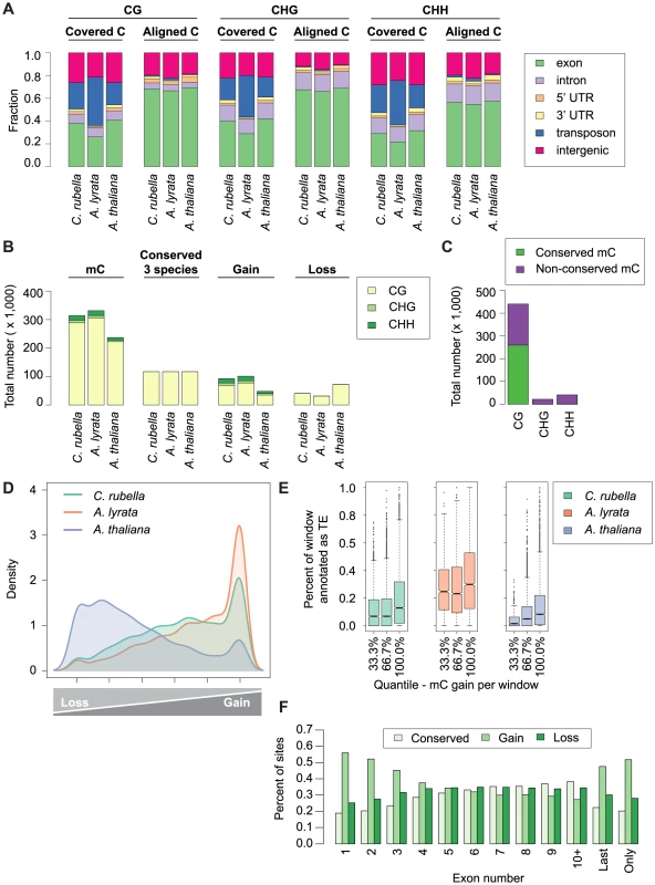 Site-level comparison of methylation.