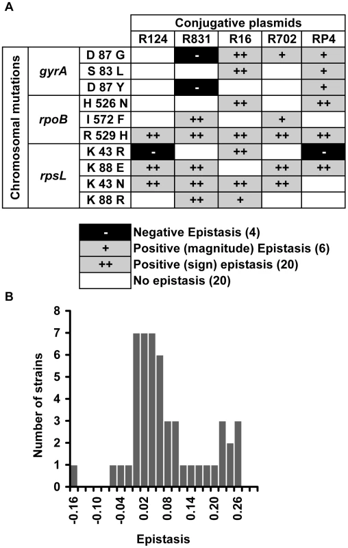 Epistasis between antibiotic resistance mutations and conjugative plasmids.