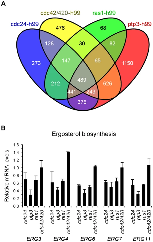 Transcriptome profile analysis.