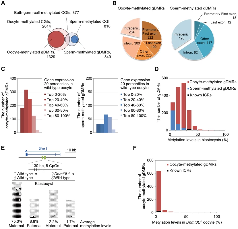 Identification of germline differentially methylated CGIs from DNA methylome profiles.