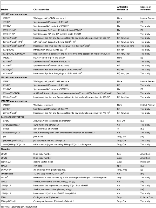<i>Y. pseudotuberculosis</i> strains and plasmids used for DNA transfer experiments.