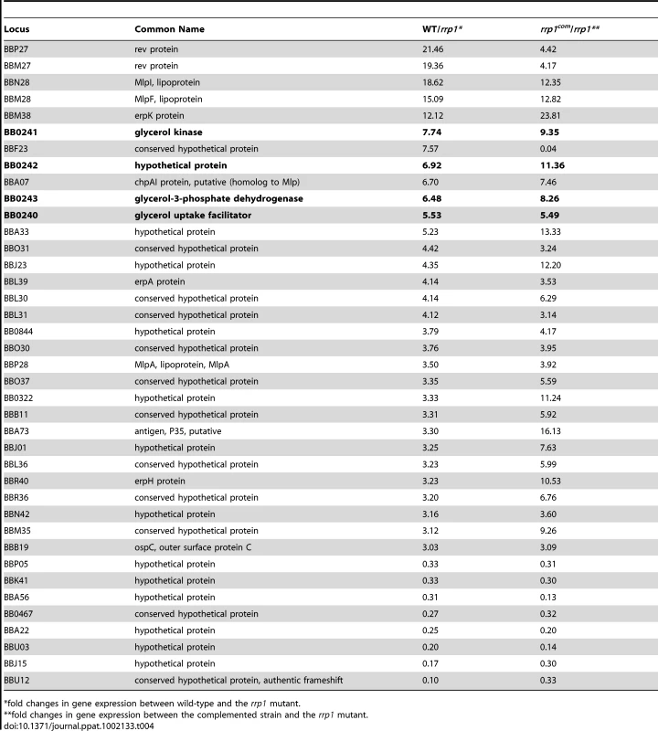 Rrp1-regulated genes in <i>B. burgdorferi.</i>