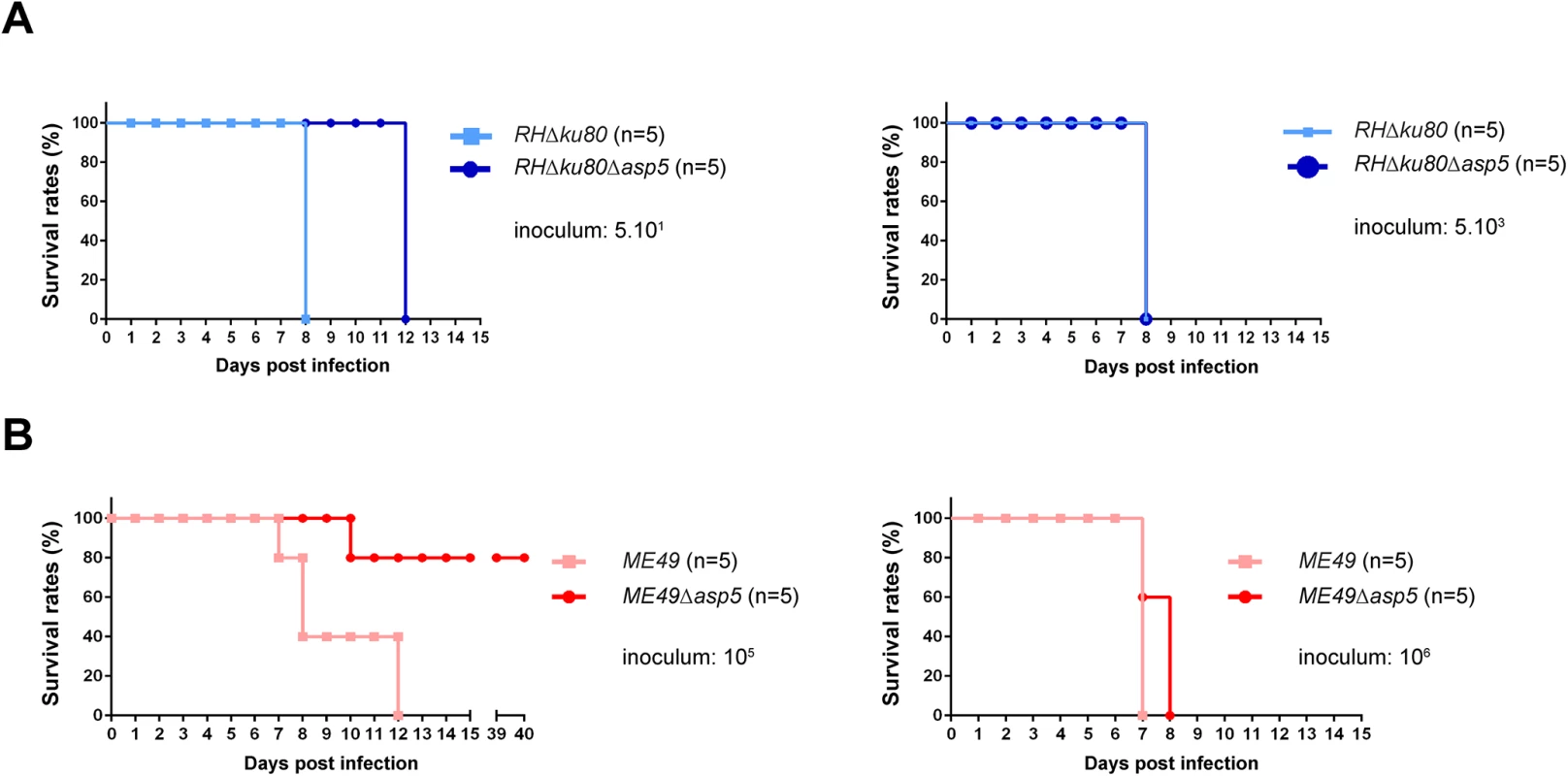 ASP5 deletion affects <i>in vivo</i> virulence of type I and type II parasites.