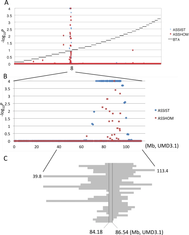 Mapping of homozygosity and autozygosity for skeletal dysplasia.