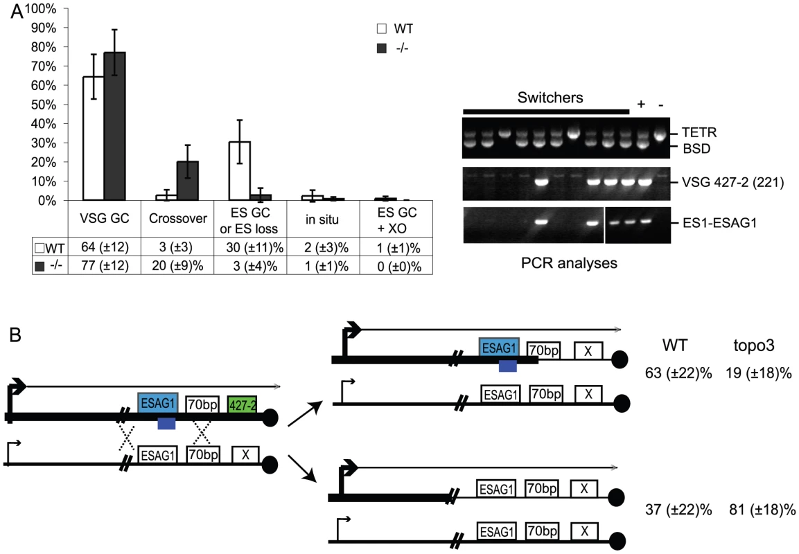 Analyses of switched variants.