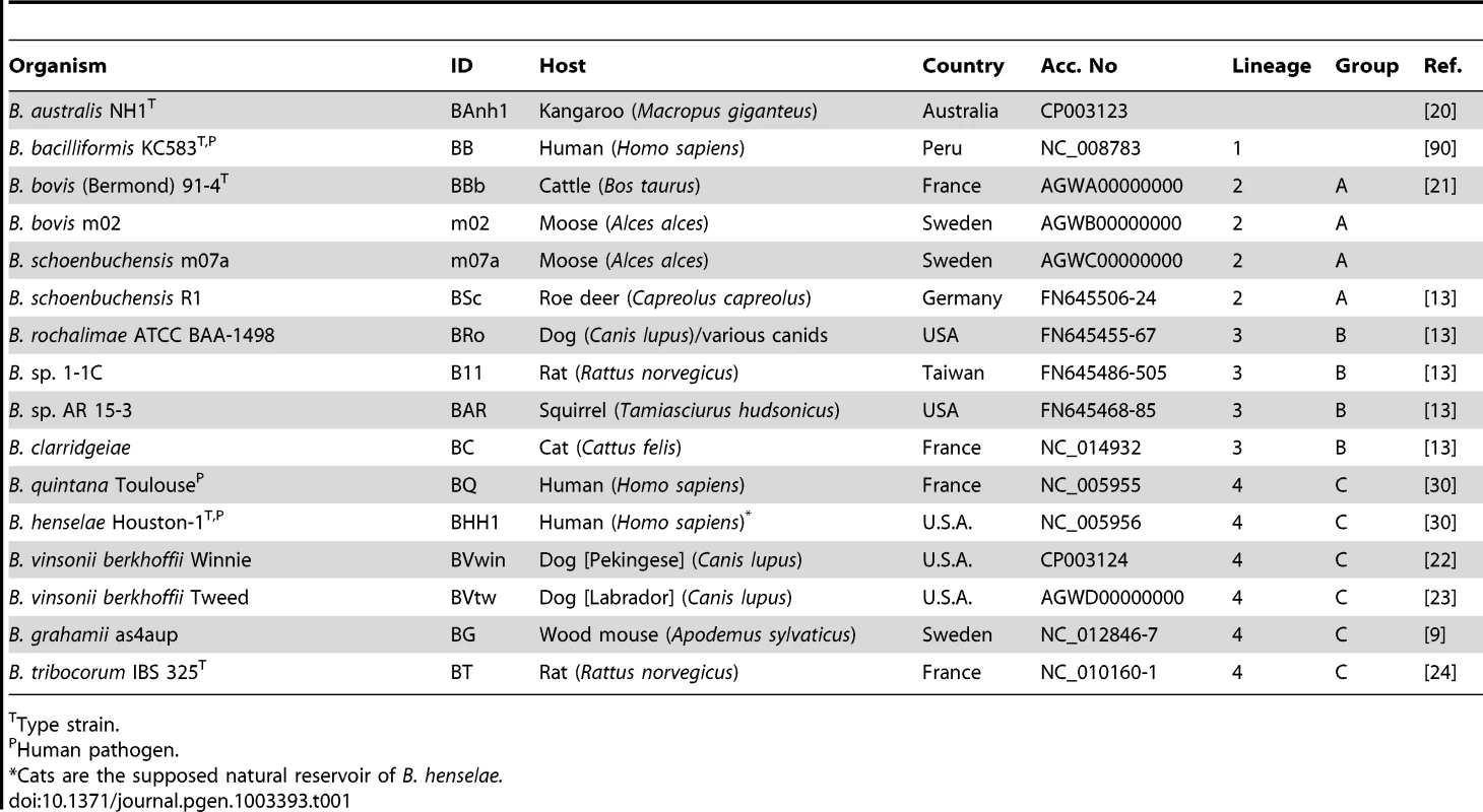 <i>Bartonella</i> isolates.