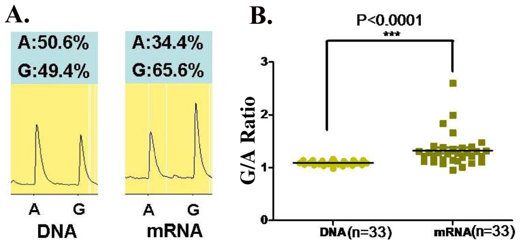 Allelic expression of <i>ETS1</i> on SNP rs1128334 in PBMC of healthy individuals.