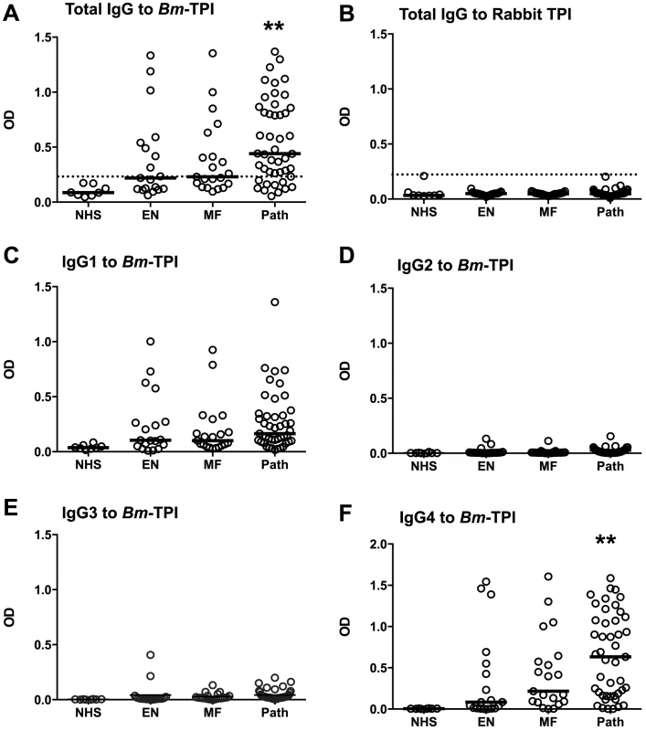 Anti-<i>Bm</i>-TPI antibody levels in <i>B. malayi</i>-infected human filariasis patients.