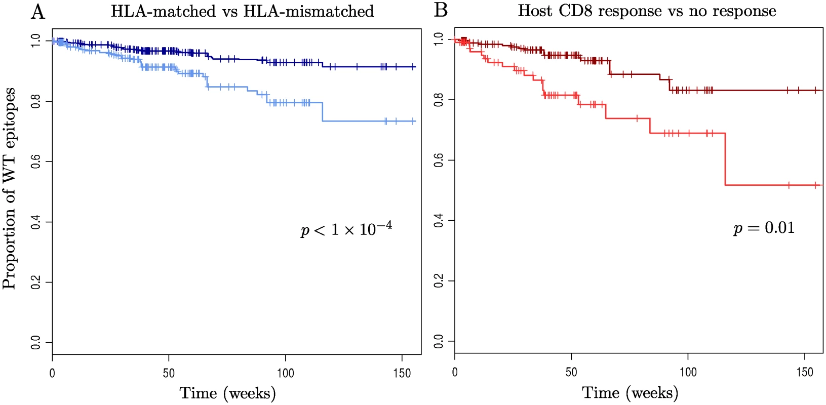 Kaplan-Meier survival curves for wild-type epitopes.