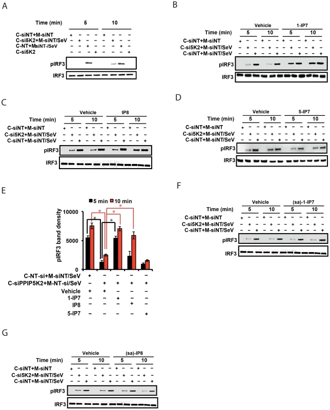 1-IP7 is needed for IRF3 phosphorylation.
