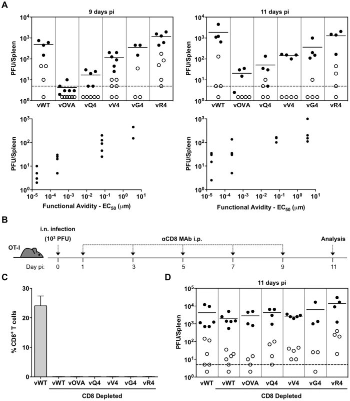 CTL functional avidity also determines infection control by latently expressed epitope recognition.