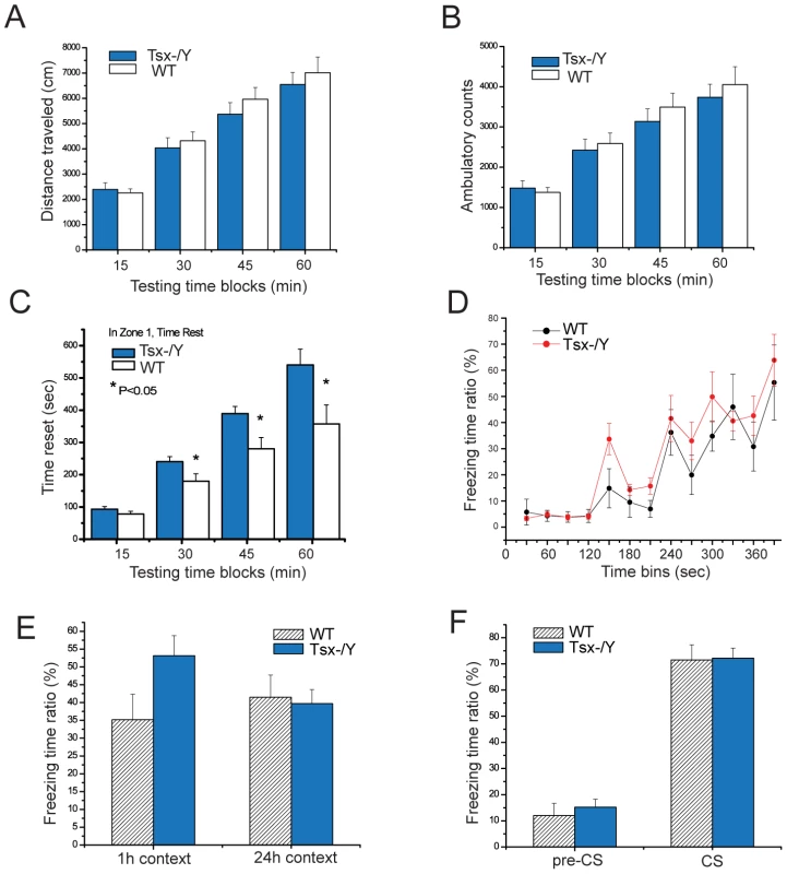 Tsx deletion affects behavior and short-term hippocampal-dependent memory consolidation in male mice.