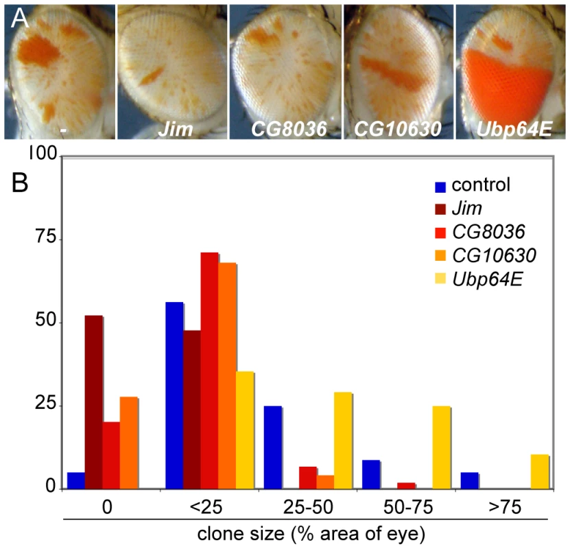 Inducible enhancers alter <i>crol</i>-mediated establishment of de-repression.