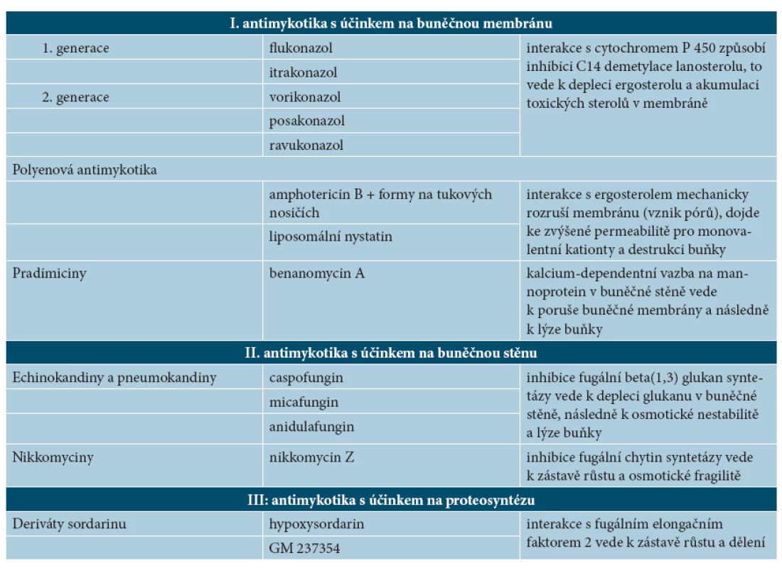 Mechanismus účinku antimykotik