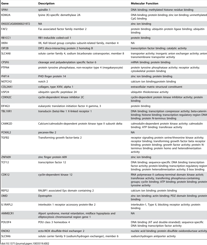 List of protein coding genes found in regions of differentiation containing a single annotated gene.
