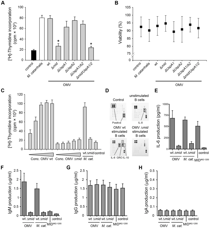 OMV containing MID activate tonsillar B cells.