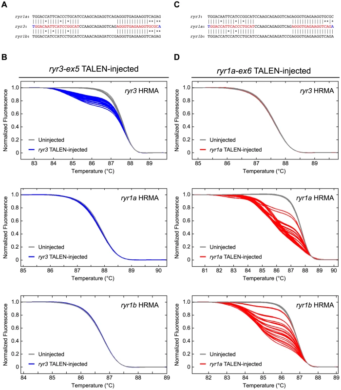 TALEN activity at homologous target sequences.