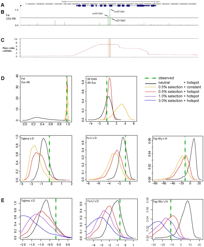 Genomic context and patterns of selection in a 10<i>ZIP4</i> (<i>SLC39A4</i>).