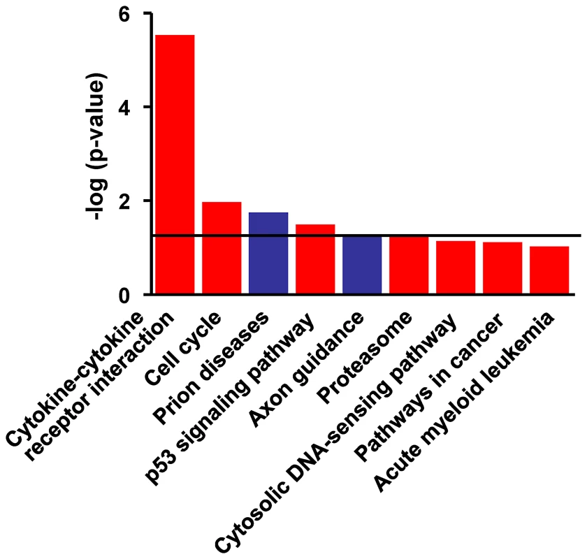 Functional networks most significanty modulated in PPD-B stimulated PBMC from vaccinated/protected calves.