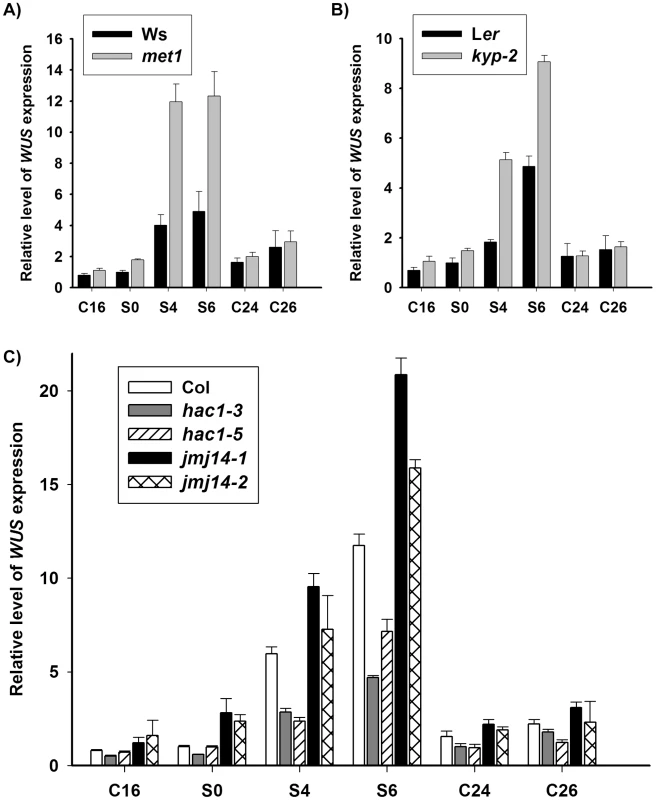 DNA methylation and histone modifications regulate <i>WUS</i> transcript levels.