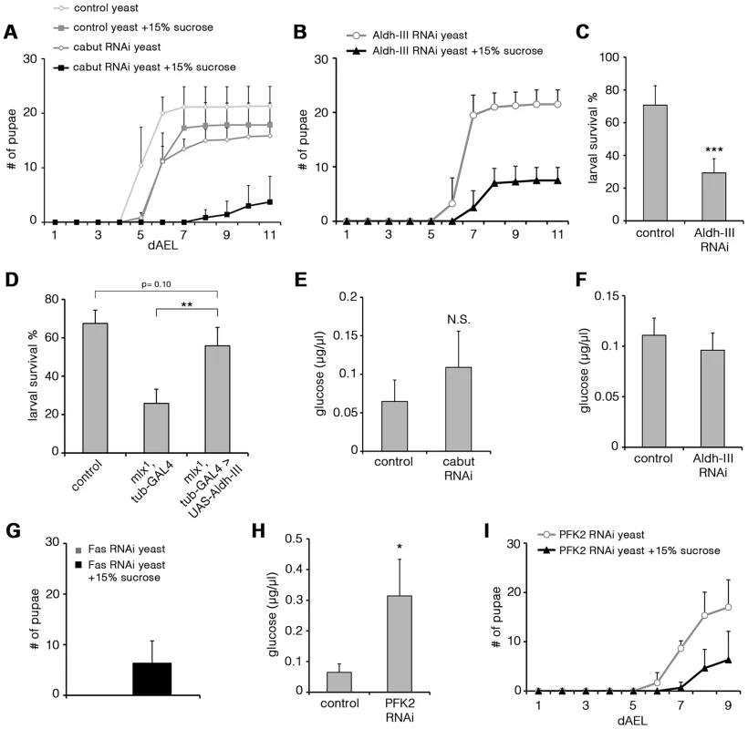 Functional analysis of Mlx-regulated genes.
