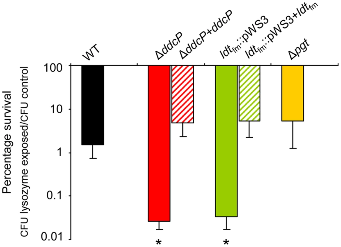 Percentage survival of <i>E. faecium</i> cells following a lysozyme challenge.