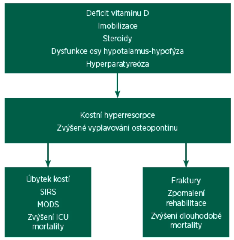 Možný vztah mezi hyperresorpcí a kritickým stavem