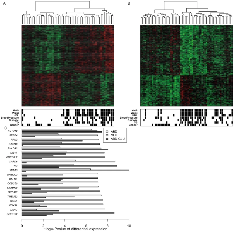 Gene expression changes related to MetS in ABD and GLU.