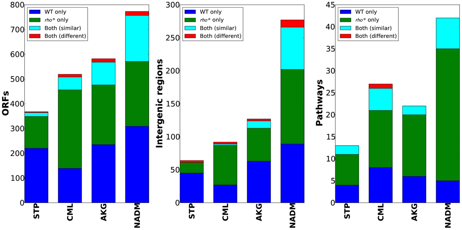 WT and <i>rho</i>* backgrounds show remarkably different fitness landscapes.