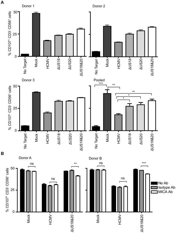 Loss of US18 and US20 increases NK degranulation in response to HCMV-infected targets.