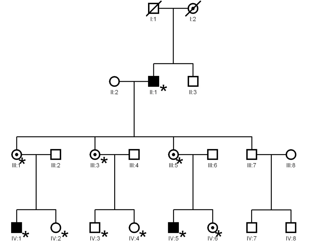 Vyšetřovaná rodina s RP vázanou na pohlavní chromozom s prokázanou patogenní mutací c.2426_2427delAG v ORF15 genu <i>RPGR</i>. Hvězdičkou jsou označeni jedinci, u kterých bylo provedeno molekulárně genetické testování, černé čtverce představují postižené muže, kolečka s tečkou přenašečky, prázdné symboly jsou nepostižení rodinní příslušníci (30)