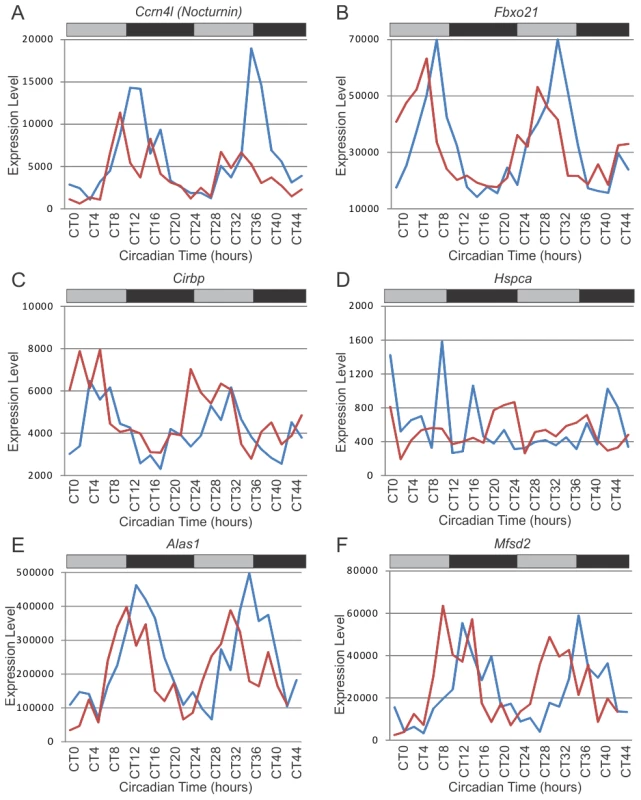 Examples of System-driven circadian transcripts.