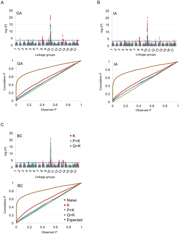 Manhattan and quantile–quantile plots of branching associations.