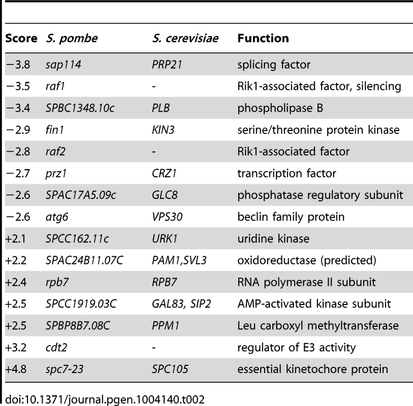 Quantitative epistatic miniarray profiling for <i>bag102</i>Δ.