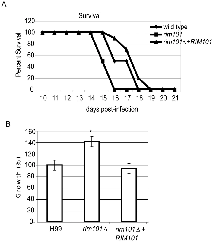 Virulence analysis of the <i>rim101Δ </i><i>mutant</i> strain.