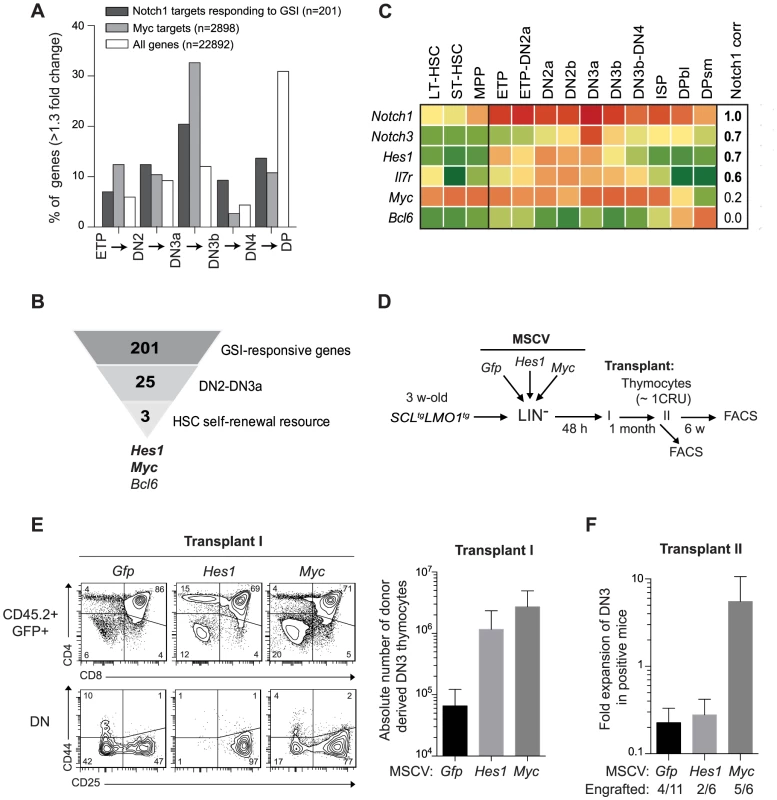 Functional importance of <i>Hes1</i> and <i>c-Myc</i> downstream of <i>Notch1</i> in thymocyte reprogramming induced by SCL-LMO1.